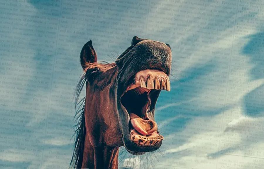 The Female Horse Thief